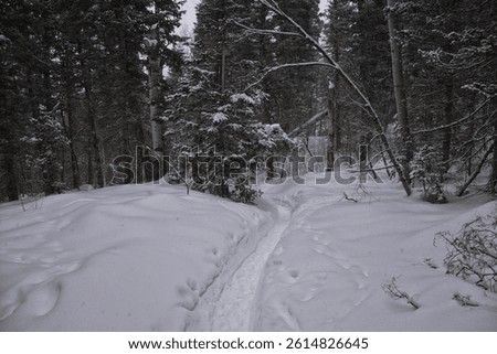 Tibble Fork Loop hiking winter storm snow views of trail Lone Peak Wilderness Uinta Wasatch Cache National Forest, Rocky Mountains, Utah. United States.