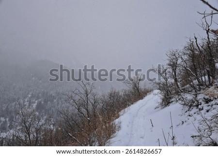 Tibble Fork Loop hiking winter storm snow views of trail Lone Peak Wilderness Uinta Wasatch Cache National Forest, Rocky Mountains, Utah. United States.