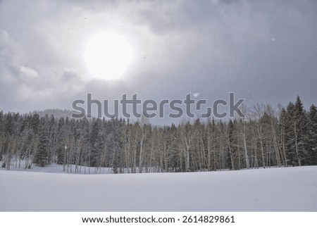 Tibble Fork Loop winter storm snow views from hiking trail Lone Peak Wilderness Uinta Wasatch Cache National Forest, Rocky Mountains, Utah. United States.