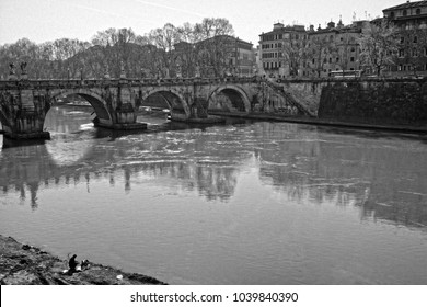 At the Tiber in Rome - Shutterstock ID 1039840390