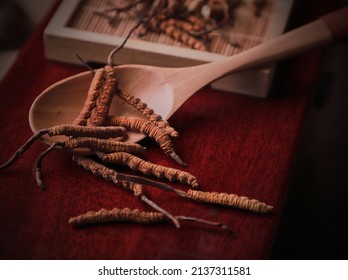 Tibet Cordyceps High-class. Medicinal Properties In The Treatment Of Diseases. National Organic Medicine 7