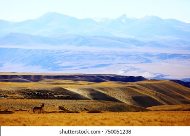 Tibetan landscape travel