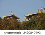 Tibetan temple on mountain shrouded in green vegetation amidst peaceful nature inviting visitors to connect with nature and find inner peace, Amitabha Foundation Retreat Center