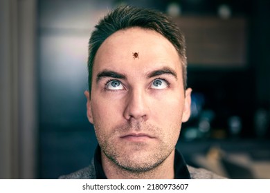 A Tick Crawls On The Head Of A Man. A Young Guy Was Scared Of An Insect. The Concept Of Fear Of Insects.