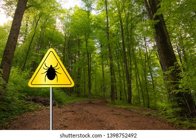 Tick Insect Warning Sign Nature Forest Stock Photo 1398752492 ...