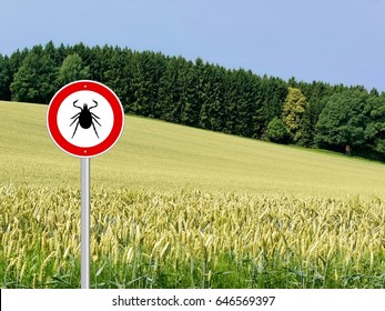 tick insect warning sign in nature