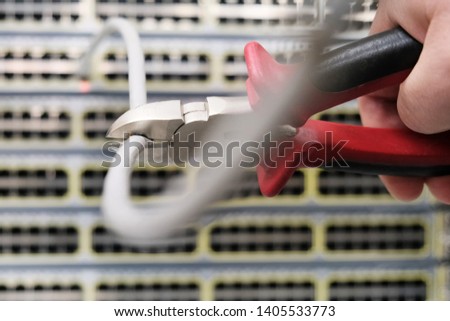 Ticks bite the wire to connect to the Internet. Denied access to the network. Disconnecting from in the global communication channel internet, WAN..