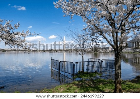 Tidal basin in flooded water. A new sea wall will be constructed to repair the area in Washington DC