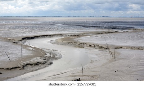   A Tidal Creek Near Wremen                             