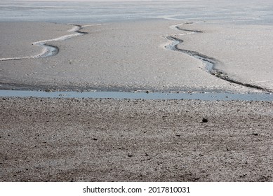  Tidal Creek In The Wadden Sea