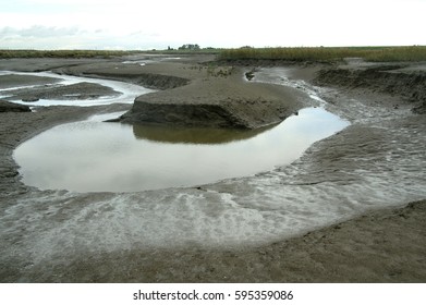 tidal landscape
