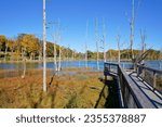 Tidal marsh and lookout in World’s End Hingham MA USA
