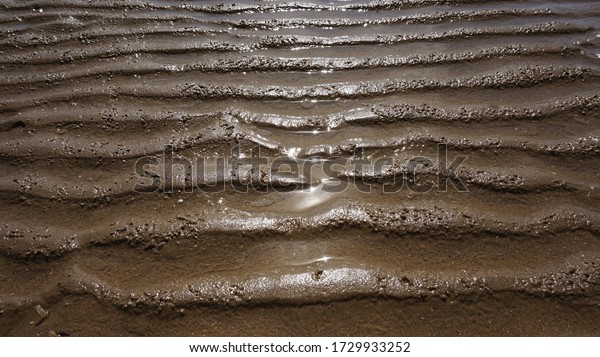 The tidal\
mud-flat, mud flat of s.Korea\'s West\
Sea