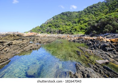 Tidal Pool Along The Otter Hiking Trail, South Africa