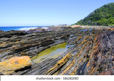 Tidal Pool Along The Otter Hiking Trail, South Africa