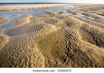 Tidal Pools