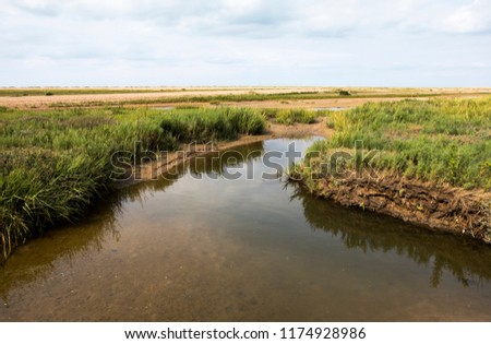 Similar – Image, Stock Photo Salt marsh on the North Sea.