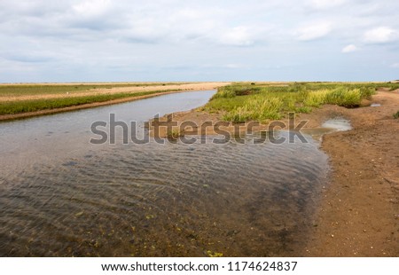 Similar – Image, Stock Photo Salt marsh on the North Sea.