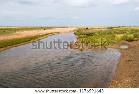 Similar – Image, Stock Photo Salt marsh on the North Sea.