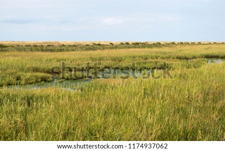 Similar – Image, Stock Photo Salt marsh on the North Sea.