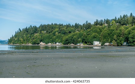 Tide Low Dash Point State Park Stock Photo 424063735 | Shutterstock