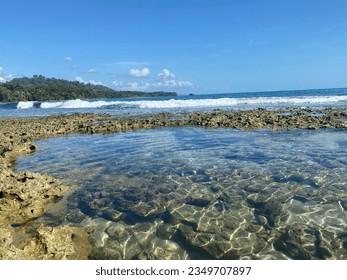 tide pool with beautiful textures, sunlight reflections dancing, waves from the sea rolling in, blue sky with green jungle forest.