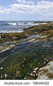 Tide Pool, Cape Elizabeth, Maine