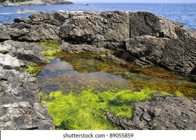 Tide Pool, Cliffs, Acadia National Park, Maine, USA