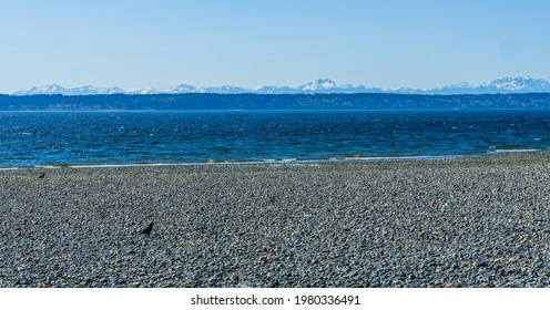 A Tide Pool In Des Moines, Washington With The Olympic Mountains In The Distance.