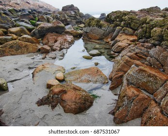 A Tide Pool In Maine