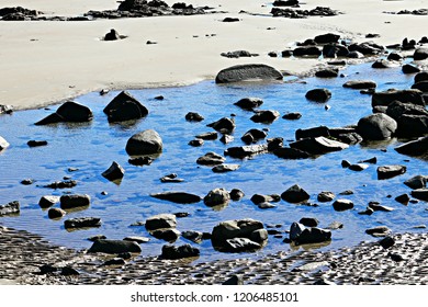 Tide Pool - Maine Beach