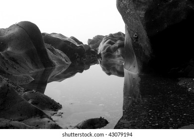 A Tide Pool On The Olympic Coast Of Washington, State