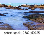 Tide Pools during high tide on the Northern California Coast taken at a rural beach in the Lost Coast, CA