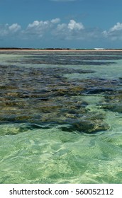 Tide Pools In Maragogi, Brazil