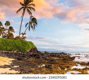 Tide Pools and Palm Trees on Big Beach, Makena State Park, Maui, Hawaii, USA - Powered by Shutterstock