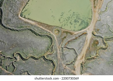 Tidle Area In The River Somme! Puddles For Farming 