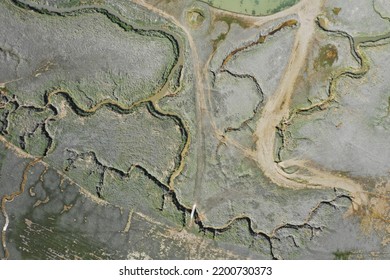 Tidle Area In The River Somme! Puddles For Farming 