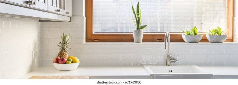 Tidy White Kitchen With Plants On A Window Sill