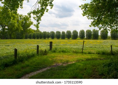 Tielt, Belgium - nature in country side contains some long and short distance walking routes