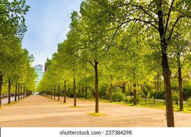 Tiergarten view with rows of trees in Berlin