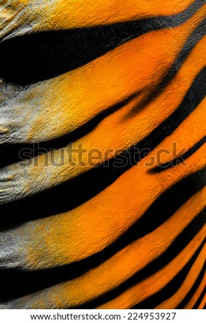 Tiger cement wall abstract background