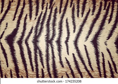 Tiger Fabric Texture Stock Photo 174235208 | Shutterstock