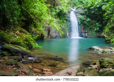 Tiger Fern Waterfall In Cockscomb Basin Wildlife Sanctuary, Belize.