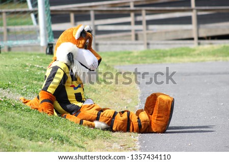 A tiger mascot