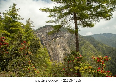 Tiger Nest, Upper Paro Valley In Bhutan