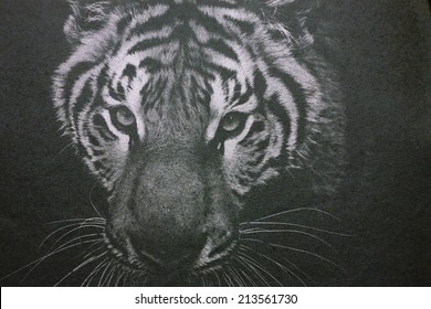 Tiger On Paper