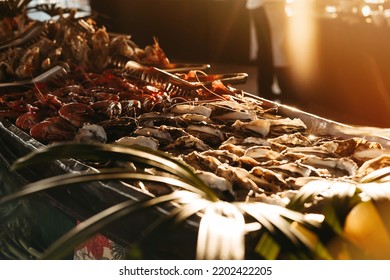 Tiger Prawns And Oysters Are On Display At The Seafood Station For Christmas Dinner.