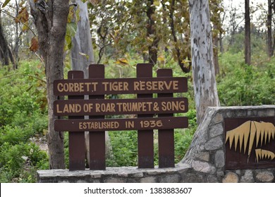 Tiger Reserve Jim Corbett National Park