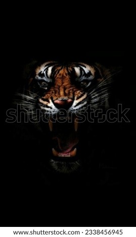 tiger roaring with black background 