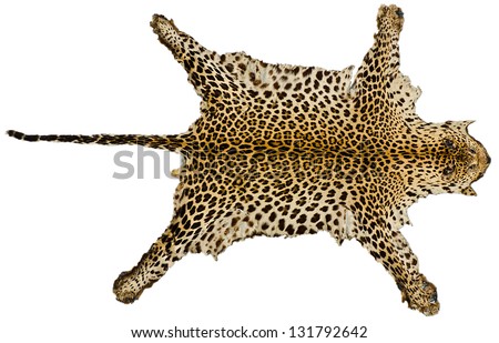 Tiger skin full body on white isolated background
